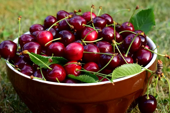 Trucuri pentru coacerea cireselor
