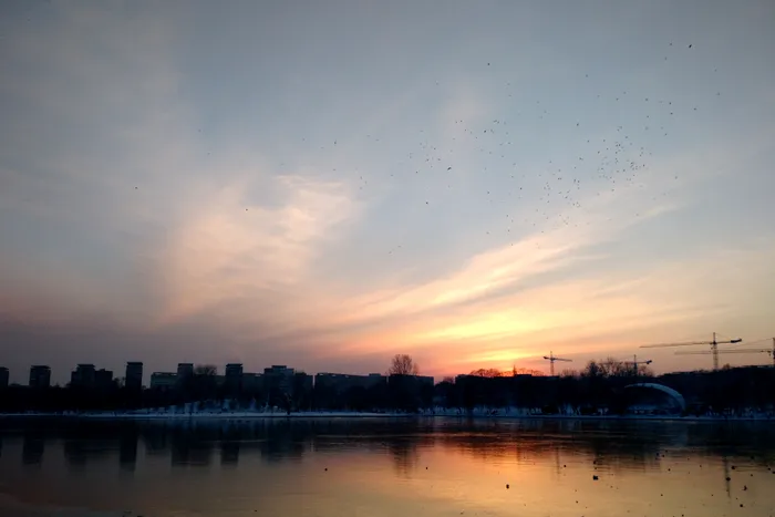 Mostre foto din Motorola Moto X in review Playtech (2)