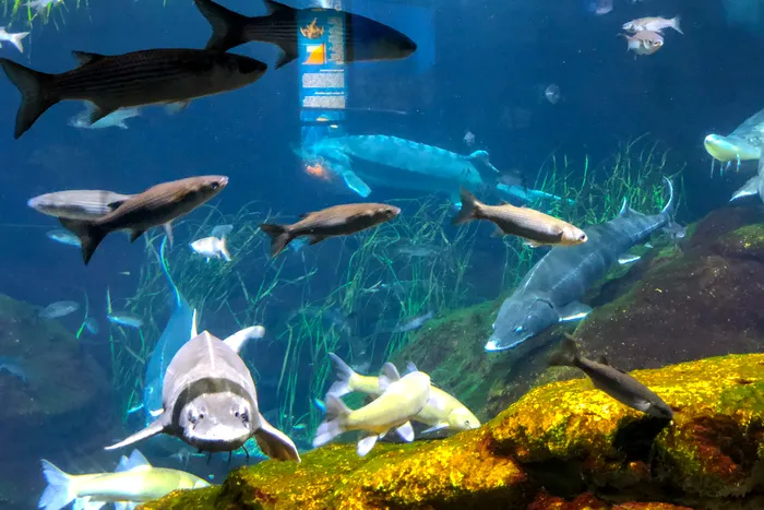 Cu Motorola Moto G6 Plus prin Barcelona-17