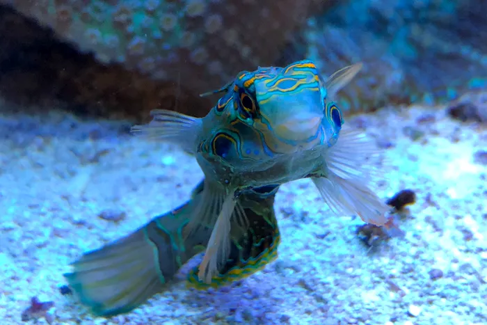 Cu Motorola Moto G6 Plus prin Barcelona-18