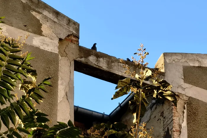 Mostre Huawei Mate 40 Pro