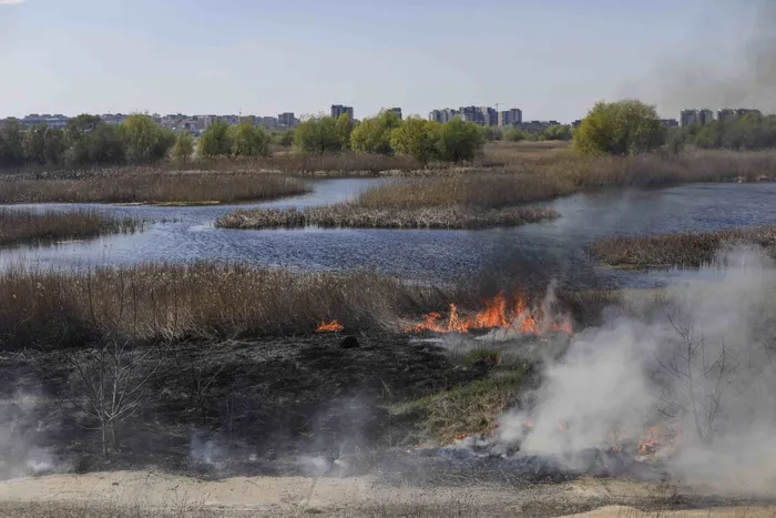 Incendiu in Delta Vacaresti
