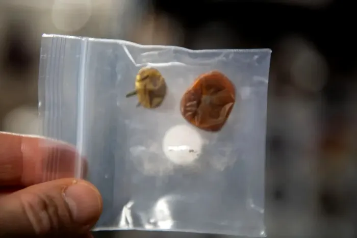 roșii pierdute pe Stația Spațială Internațională NASA 