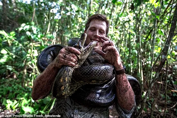 Anaconda verde cel mai mare sarpe din lume Amazon