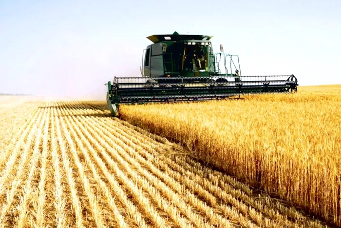 Romania exportator grau cereale Europa