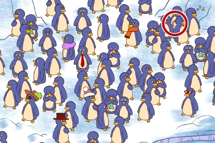 Test de perspicacitate aparte