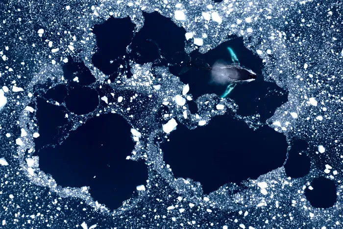 Antartica imagine