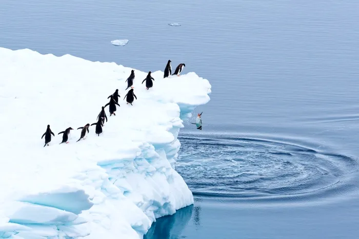 sony photography awards