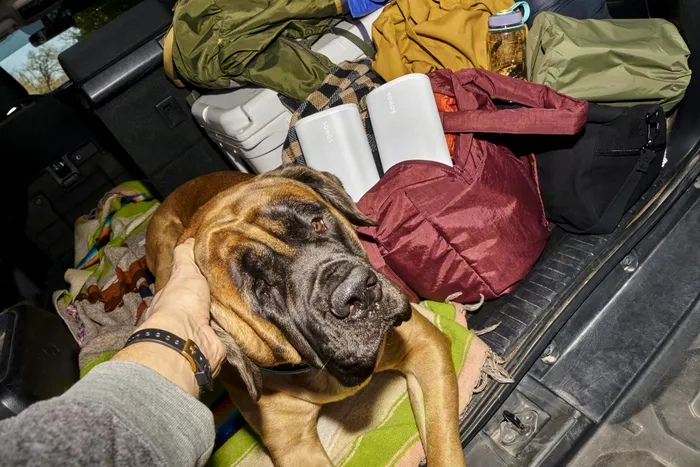 Boxele Sonos se pot împerechea două câte două pentru o experiență stereo oriunde