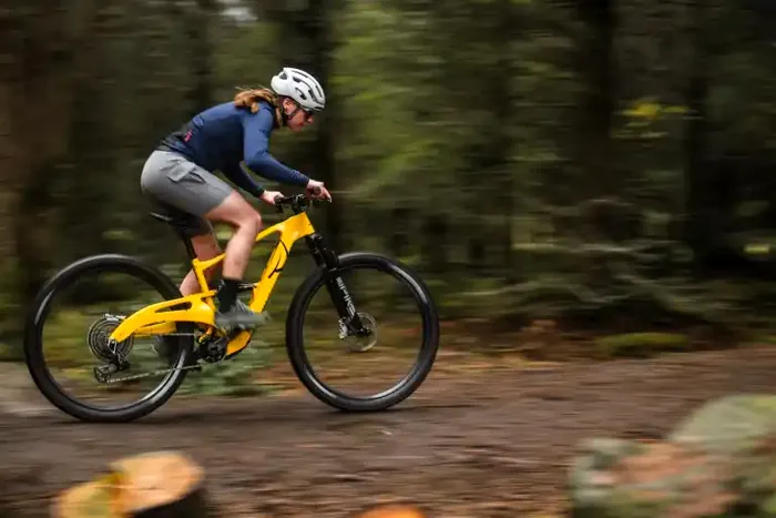 eElja deschide poartă către aventură