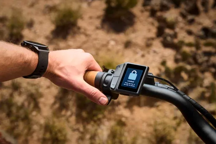 Trek Borrego - sistem de blocare