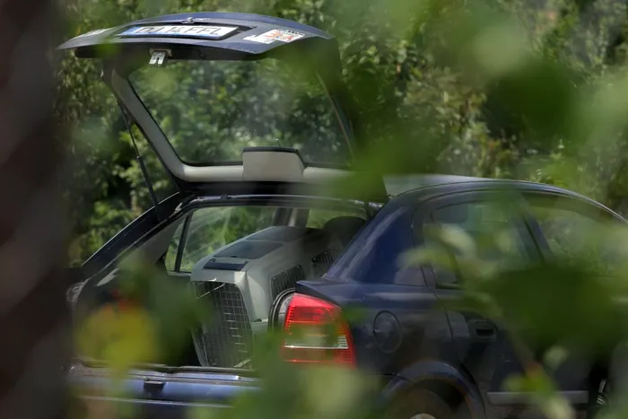 Ipoteză horror, în cazul Caracal. Avocatul familiei Luizei Melencu, cerere inedită către procurori