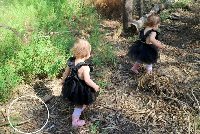 Fetițe mergând prin pădure