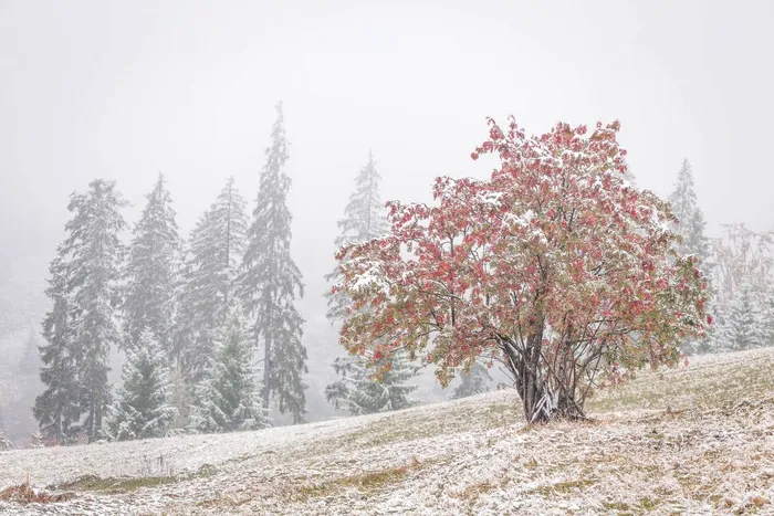 ANM: Luna noiembrie vine cu temperaturi scăzute