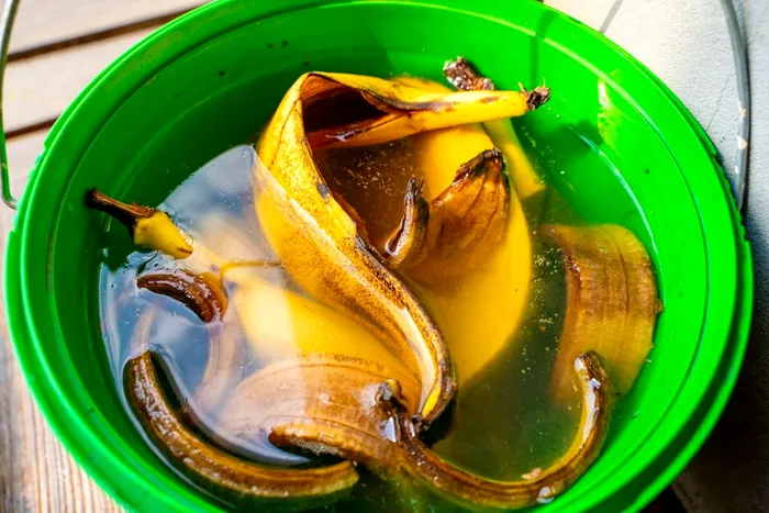 A amestecat coajă de banană cu apă şi a lăsat lichidul două ore pe masă. E trucul toamnei, rezolvă o mare problemă
