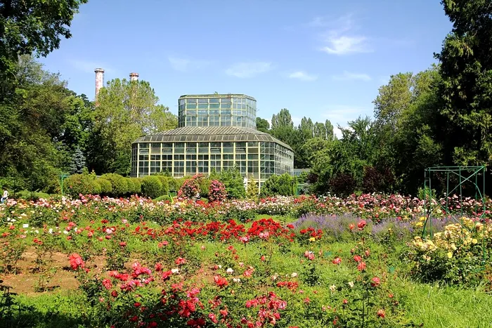 Grădina Botanică din București se transformă total. Ce se va întâmpla timp de 4 luni