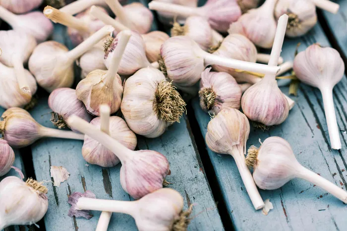 Cele mai bune soiuri de usturoi pe care sa le cresti in gradina ta. Sunt aromate si recolta e bogata