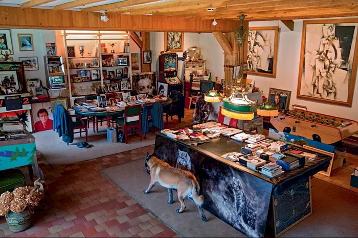 Cum arata casa lui Alain Delon din Franta. Vila de pe Valea Loarei are o priveliste superba