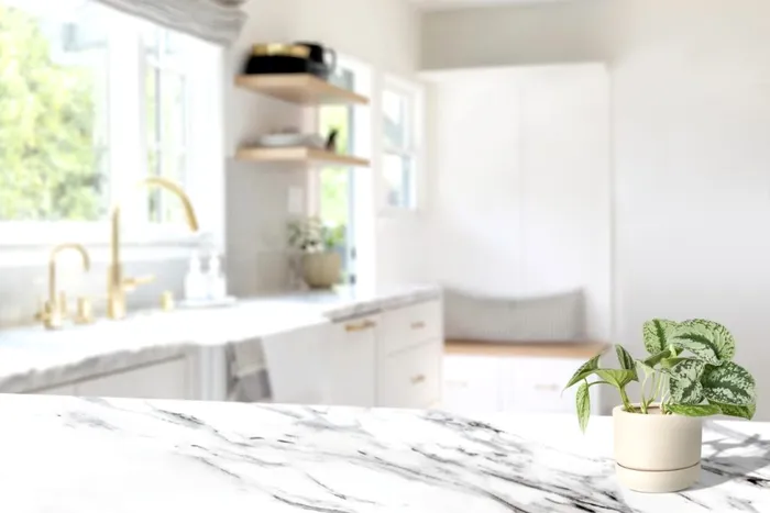 Cum să scapi de toate mirosurile neplăcute din bucătărie