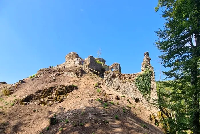 Cetatea Piatra Șoimului de lângă Aleșd