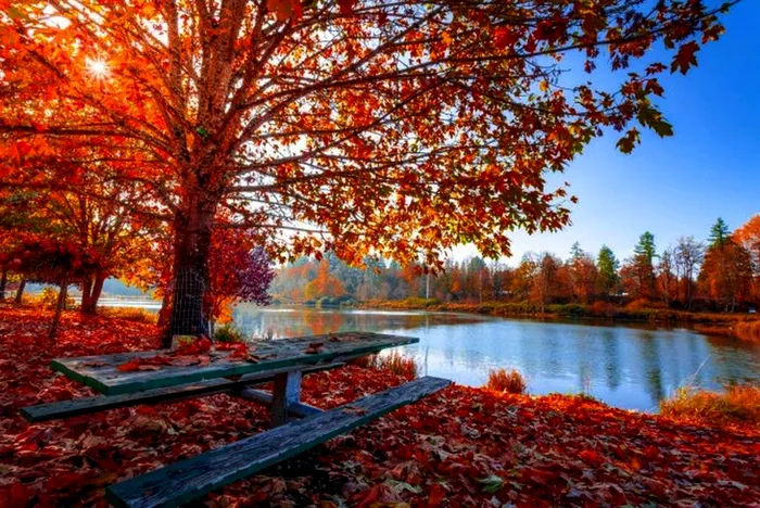 Prognoza ANM pentru 23 septembrie 2020. A doua zi de toamnă călduroasă