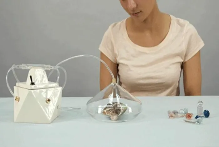 madeleine scentography parfum de amintiri