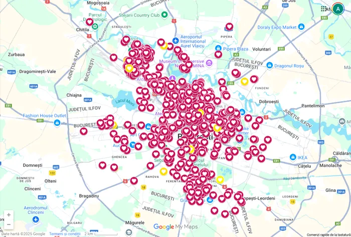 Harta cu magnoliile din București