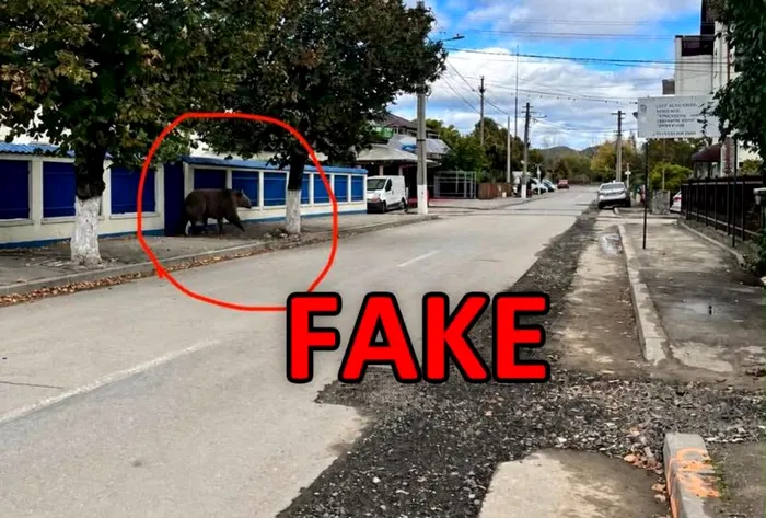 Un urs care nu exista a declanșat RO-ALERT 