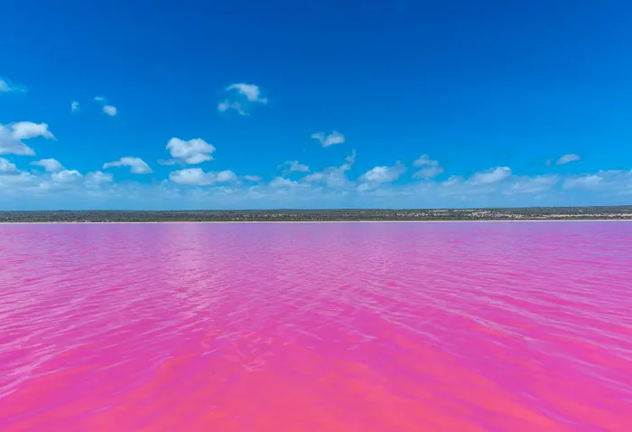 lacul-roz-pink-lake-australia-culoare