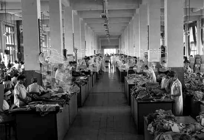 Lucrători în fabrica APACA, 1962. Foto Agerpres