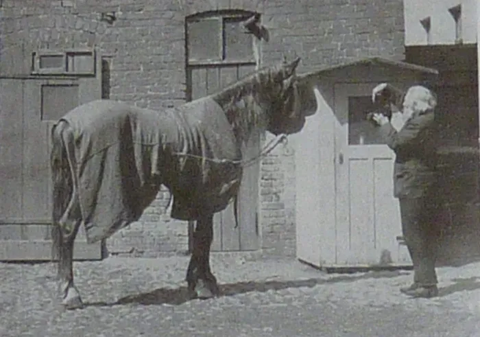 Calul care știa matematică. Cum a ajuns Hans să fie atracția numărului unu a vremurilor, experimentul de succes