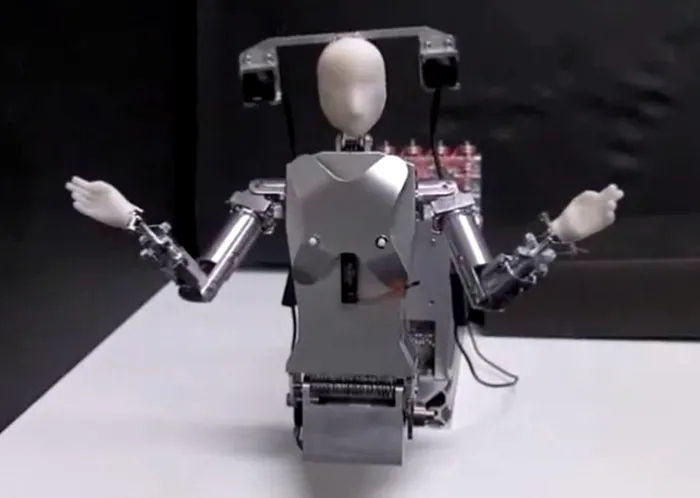 robot