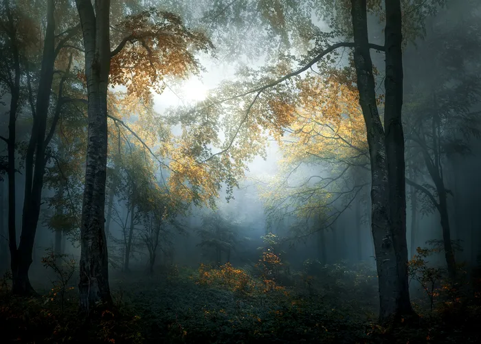 VeselinAtanasov_Bulgaria_Open_LandscapeNature2018Opencompetition_2018