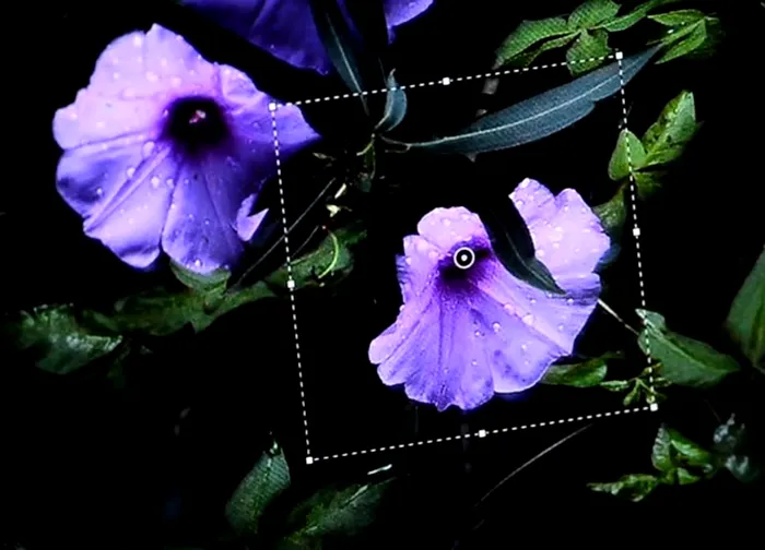 Photoshop deblur filtru viitor