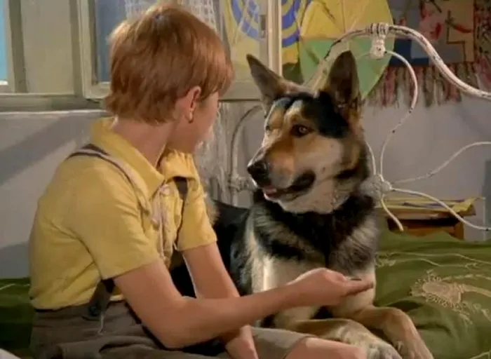 calu-pistruiatul-film-romanesc