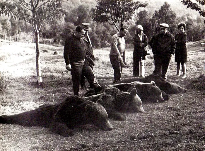 Ceausescu vanatoare vanat ales