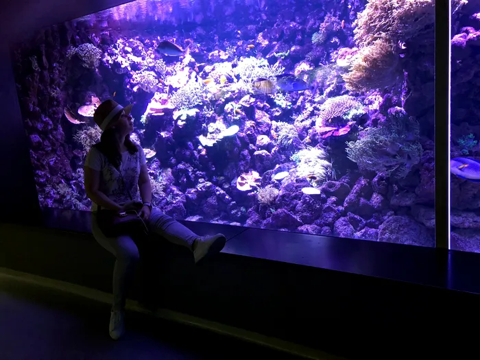 iPhone X - National Aquarium