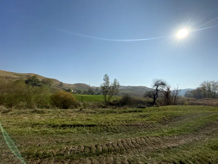 IMG_3580 iPhone 11 Pro Max