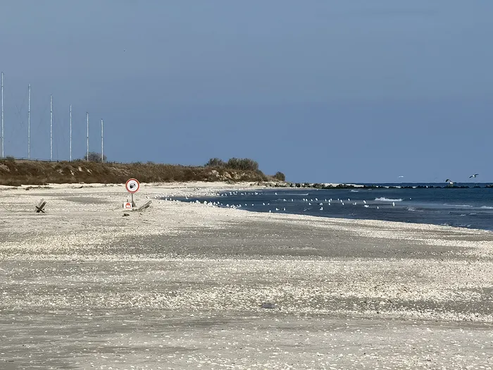 Mostre Huawei Mate 40 Pro