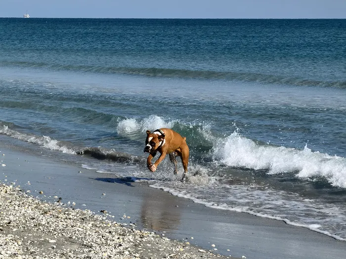 Mostre Huawei Mate 40 Pro