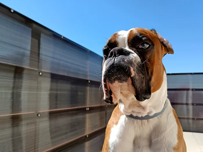 mostra foto realme 8 5g