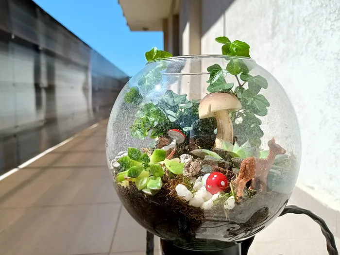 mostra foto realme 8 5g