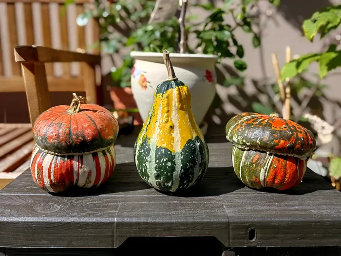 Huawei Nova 10 Pro - modul Diafragmă