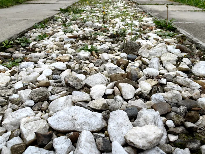 REVIEW Huawei Mate 50 Pro - foto standard