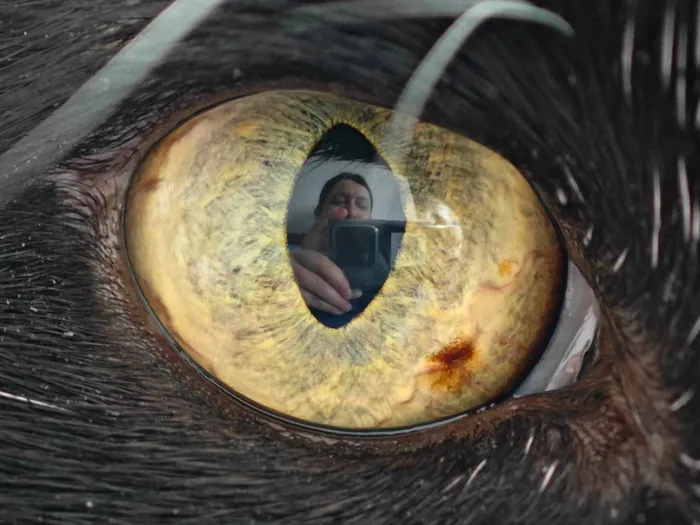 review-xiaomi-13-pro-lansare-oficiala-playtech-ro-iulia-kelt (1)