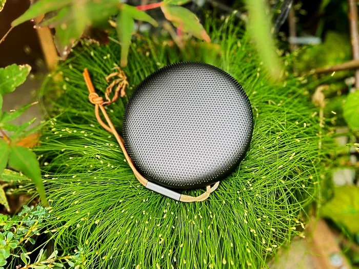Bang & Olufsen Beosound A1 2nd Gen 4