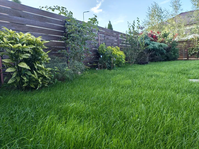 REVIEW Motorola RAZR 50 Ultra - test 1X HDR