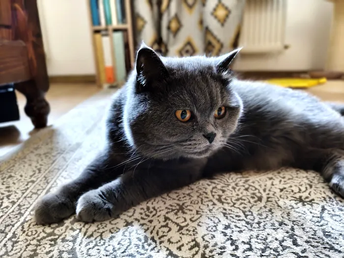 Fotografie portret cu realme GT 7 - f/3.5 1/25s 5,59 mm / foto: Playtech