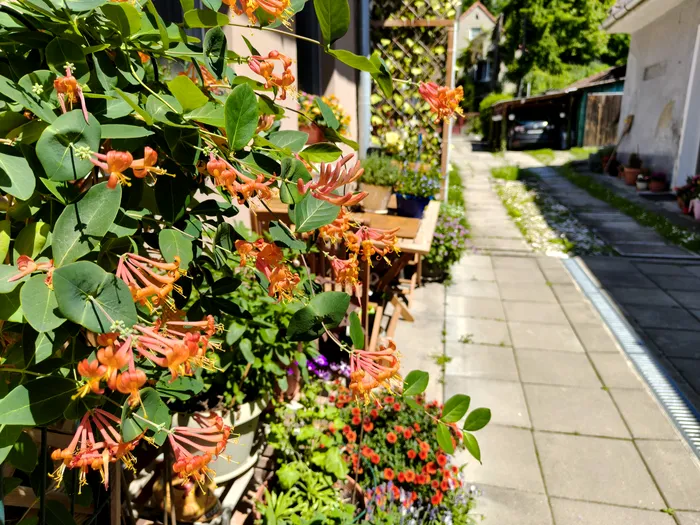 Fotografie standard 1X cu realme GT 7 - f/1.8 1/990s 5,59mm / foto: Playtech