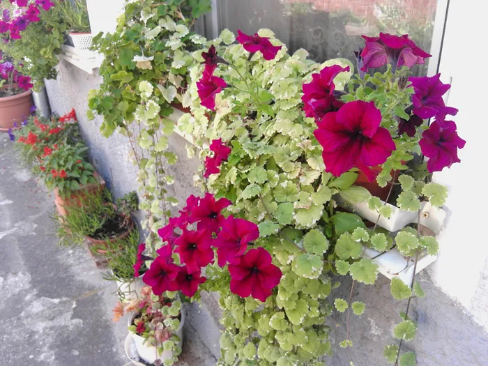 Fotografie portret cu HUAWEI MatePad 11.5 2025 PaperMate / foto: Playtech